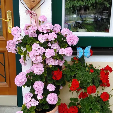 Daire Linarhof Urlaub Am Bio Bauernhof