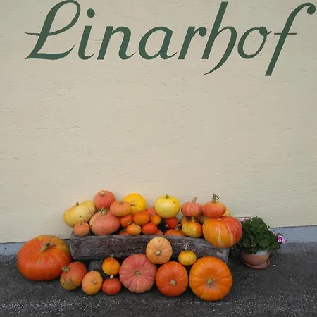Linarhof Urlaub Am Bio Bauernhof Lejlighed