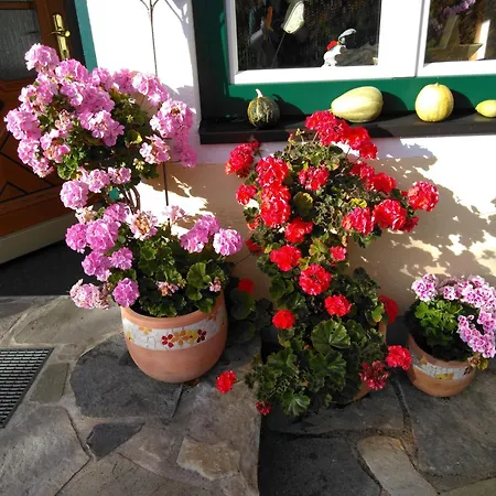 Linarhof Urlaub Am Bio Bauernhof * Haus im Ennstal