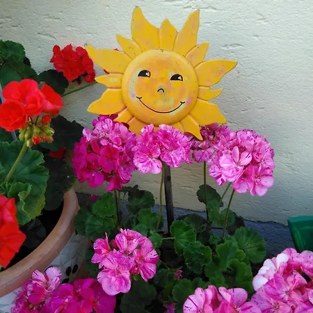 Linarhof Urlaub Am Bio Bauernhof Appartement *