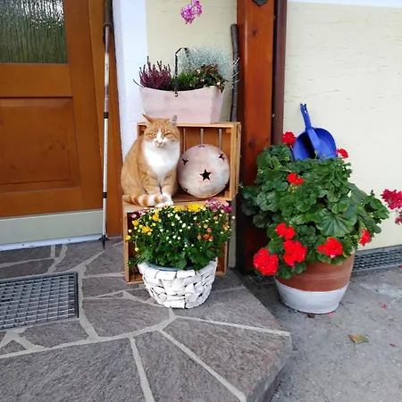 Lejlighed Linarhof Urlaub Am Bio Bauernhof Haus im Ennstal