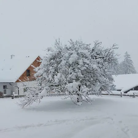 Linarhof Urlaub Am Bio Bauernhof *