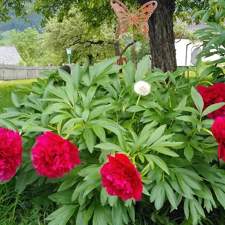 Linarhof Urlaub Am Bio Bauernhof *