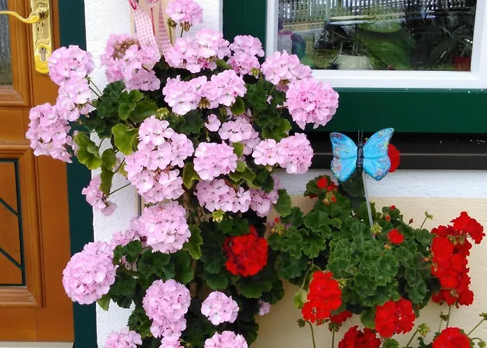 Apartment Linarhof Urlaub Am Bio Bauernhof