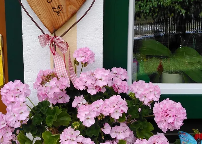 Linarhof Urlaub Am Bio Bauernhof Daire