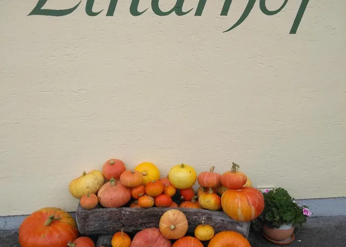 Linarhof Urlaub Am Bio Bauernhof Apartment