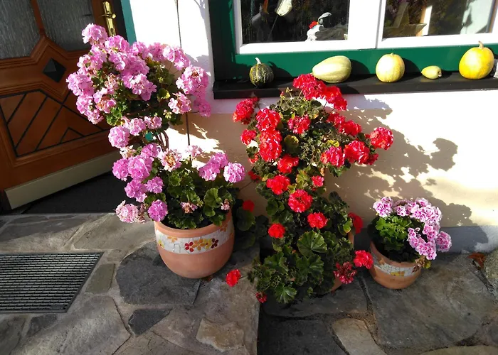 Linarhof Urlaub Am Bio Bauernhof * Haus im Ennstal