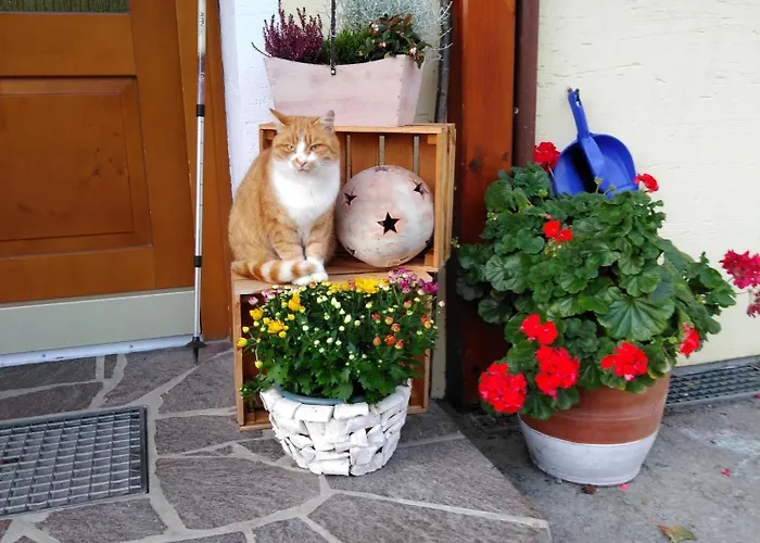 Apartment Linarhof Urlaub Am Bio Bauernhof Haus im Ennstal