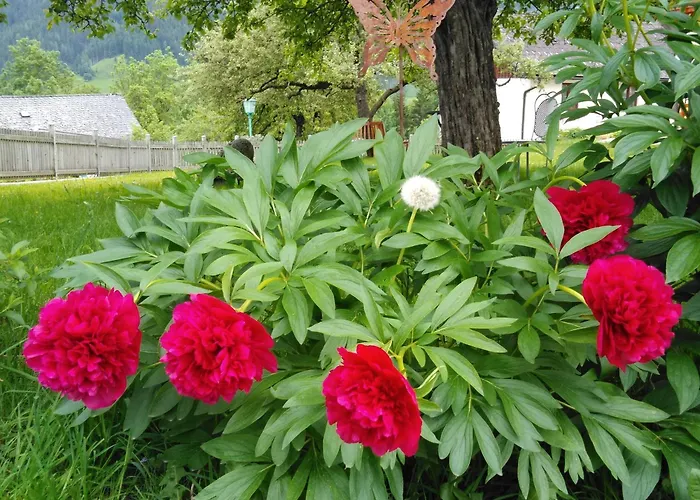Linarhof Urlaub Am Bio Bauernhof *